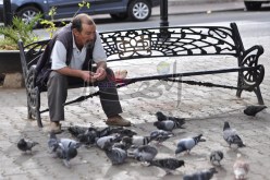 12 ألف دينار منحة شهرية لكل من تجاوز 65 سنة