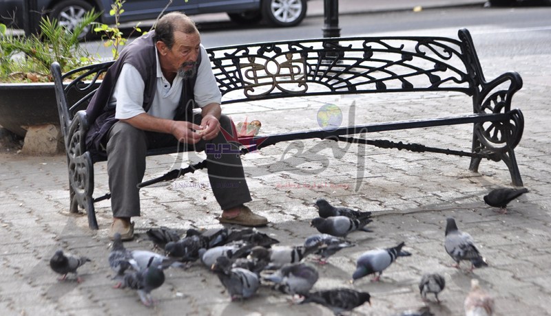 12 ألف دينار منحة شهرية لكل من تجاوز 65 سنة