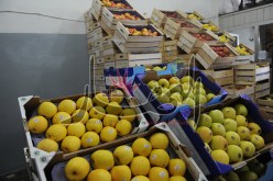 الجزائر تستورد تفّاحا يسبـّب السرطان