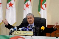 ضعف المستوى التعليمي لأبناء الجلفة يمنع تحقيق كافة احتياجاتهم