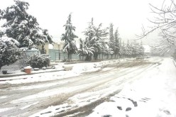 20 ولاية منكوبة بسبب الثلوج وعائلات تغرق في مياه الأمطار