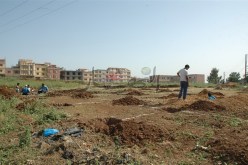 إحصاء كل الأوعية العقارية الوطنية المحتبسة