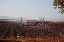 مطالبات باسترجاع الأراضي الفلاحية غير المستغلة