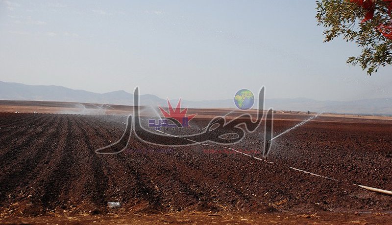 مطالبات باسترجاع الأراضي الفلاحية غير المستغلة