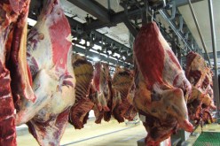 750 طن من اللحوم الهندية الفاسـدة موجهة للـجزائـريين