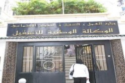 وكالة التشغيل لم توقف عقود حاملي الشهادات