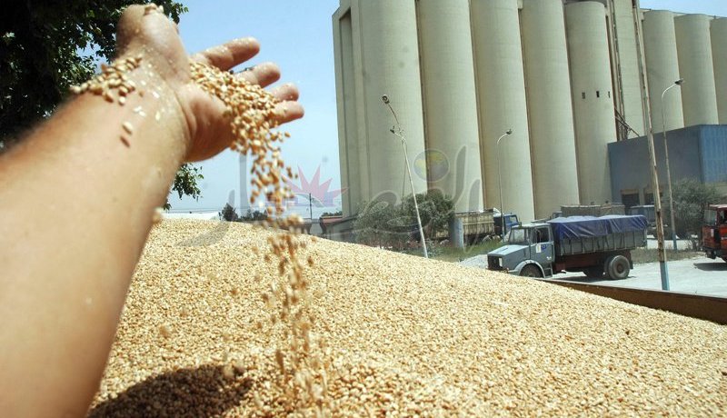 ضبط مخدرات بحوزة نائب مدير في الشركة الوطنية لنقل الحبوب