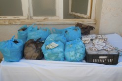 اكتشاف ورشة سرية لصناعة التبغ وحجز أكثر من 17 قنطارا من الشمة في وادي العلايڤ بالبليدة