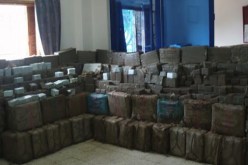 حجز أزيد من 30 قنطارا من الكيف مموهة داخل صناديق البطاطا في ورڤلة