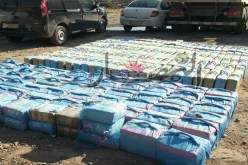 157 طن من القنب دخلت الجزائر السنة الماضية