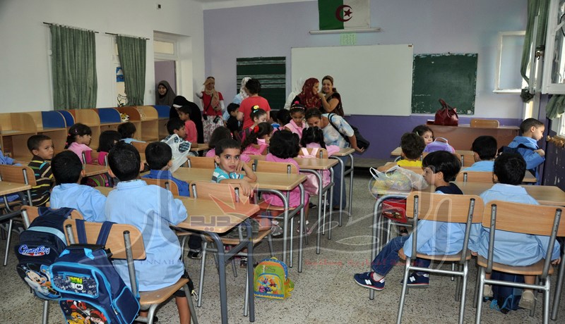 وحوش بشرية في هيئة أساتذة تنكّل بأجساد تلميذات في عمر بناتهم