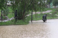 سيول تغرق الشوارع وتحاصر مواطنين داخل منازلهم في سكيكدة