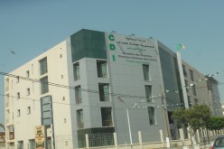 صاحب شركة تصدير متّهم بالتهرّب من دفع مليار و400 مليون سنتيم ضرائب في الرويبة