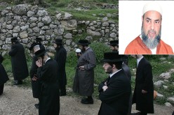 اليهود ليسوا حفدة القردة والخنازير