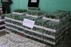 حجز مشروبات كحولية ومخدرات وتوقيف 14 ‬شخصا مبحوثا عنه بمستغانم