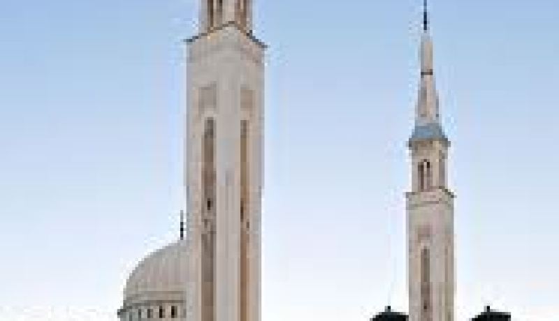 فركوس‮: ''‬اعتقاد التيجانيين رؤية الرسول في‮ ‬اليقظة هدم للدين‮''‬