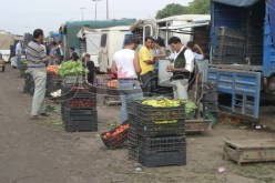 مشــروع استعجالي لإنجاز 8 أسواق وطنيـة للجملة وتجنيد 6 آلاف عون مراقبة خلال رمضان