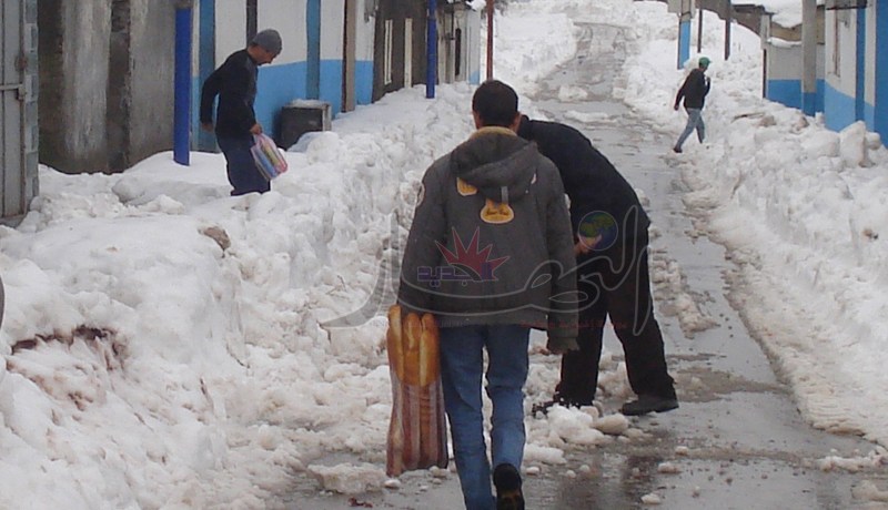 الجيش والدرك يسخّران آليات ضخمة لفتح الطرقات ويوزعان المؤونة على سكان القرى والمداشر بالشرق