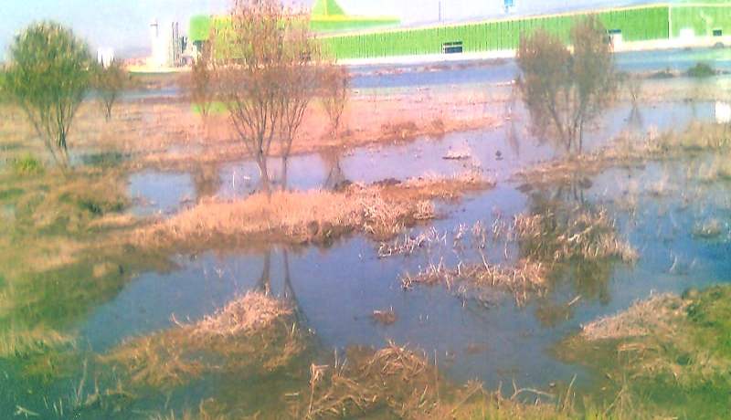 شركة تركية تُغرق أراض فلاحية في السبخة بوهران