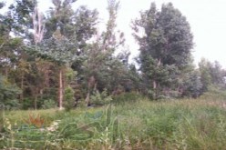 تحقيقات في‮ ‬صفقة كراء حديقة تسلية لمدة 33 ‬سنة لمغترب بخنشلة