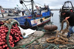 كامــيــرات مراقبة بموانـئ الصيـد.. قريبــا