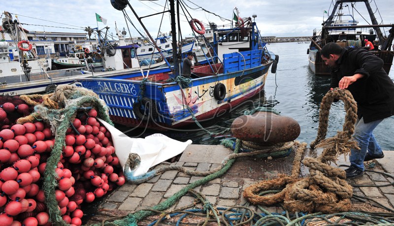 كامــيــرات مراقبة بموانـئ الصيـد.. قريبــا