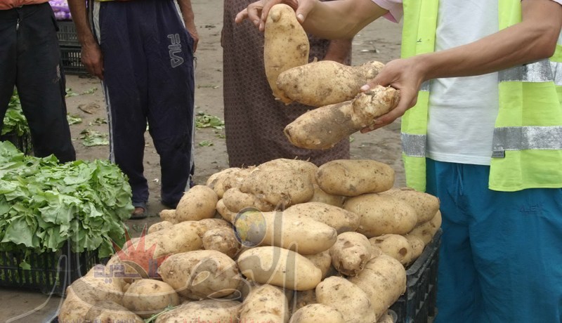 ‮''‬الكيوي‮'' ‬للزوالي‮ ‬والبطاطا لمن استطاع إليها سبيلا