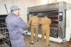 استحداث ديوان وطني لتشغيل المحبوسين