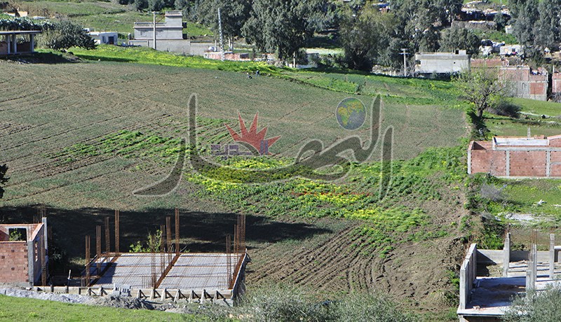 وزارة السكن تحقق في استغلال قانون التسوية 15/08 لنهب العقار