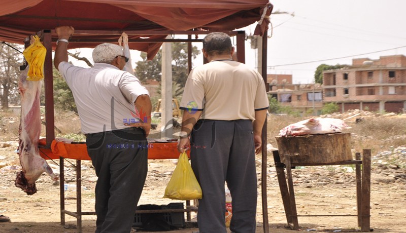 خيم تعرض نصف نعجة بـ 800 دينار في رمضان