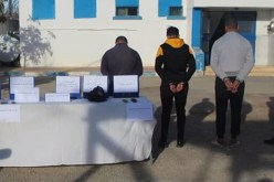 الشلف: تفكيك شبكة مختصة في سرقة المواشي وإسترجاع 13 رأس من الغنم بالزبوجة