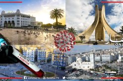 العاصمة 94 إصابة جديدة بفيروس كورونا في 24 ساعة