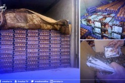 البيض: حجز 600 صفيحة من البيض الفاسد داخلها كمية كبيرة من الشمة