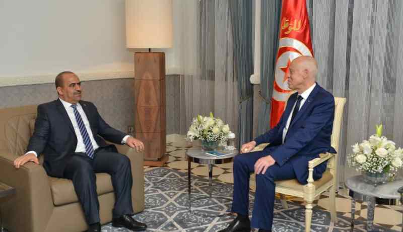 القضايا ذات الإهتمام المشترك محور نقاش بين قيس سعيد وشنين