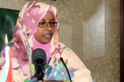 الحكومة السودانية تكشف عن دعم أمريكي لجماعات الجبهة الثورية المعارضة