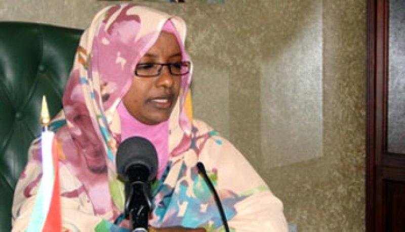 الحكومة السودانية تكشف عن دعم أمريكي لجماعات الجبهة الثورية المعارضة