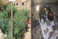 أمن دائرة المنيعة في غرداية يكتشف مشتلة ومخبرا لمعالجة القنب الهندي