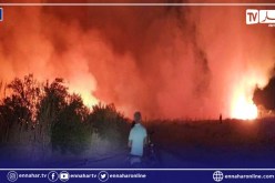 غرداية: حريق بمنطقة درين بالقرارة
