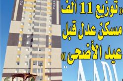 زيتوني: “توزيع 11 ألف مسكن عدل قبل عيد الأضحى المبارك”