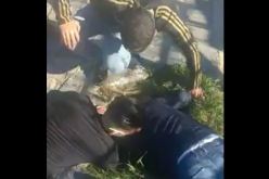 تبسة: إنقاذ أب وابنه سقطا في حفرة عميقة “فيديو”