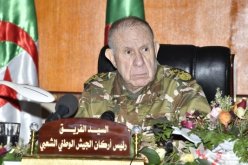 الفريق شنقريحة يستقبل وفدا عسكريا روسيا