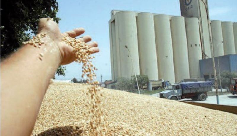 أصحاب مطاحن ضمن شبكات للتلاعب والمضاربة بـ “النخالة”!