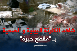 كارثة بيئية وصحية يصنعها باعة الداند بسوق مقطع خيرة