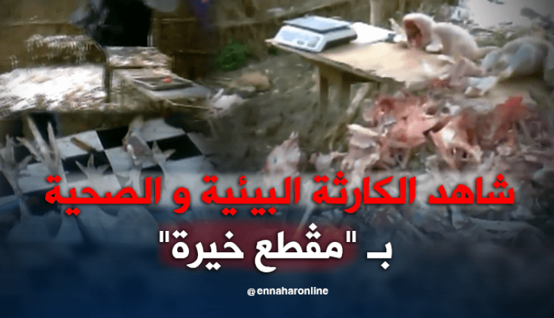 كارثة بيئية وصحية يصنعها باعة الداند بسوق مقطع خيرة