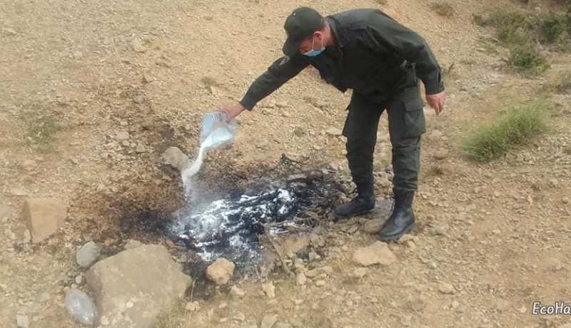 برج بوعريريج: حرق ودفن جثة ضبع وفتح تحقيق حول ملابسات نفوقه