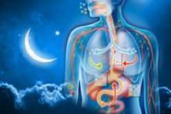 هذا ما يحدث في أجسامنا أثناء الصيام في شهر رمضان !