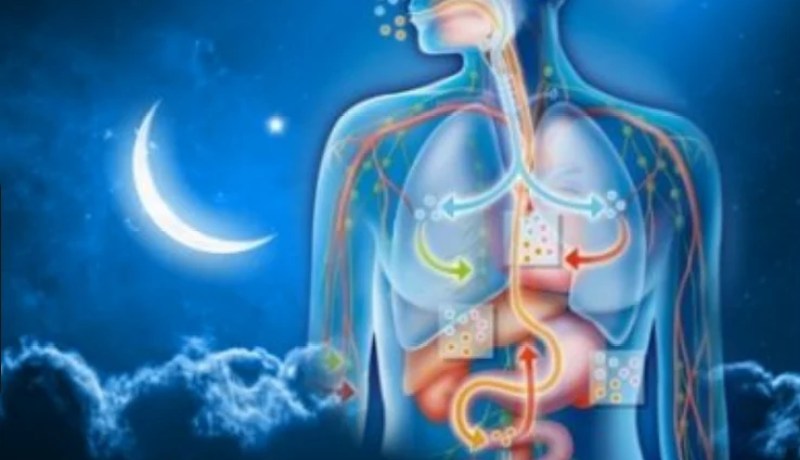 هذا ما يحدث في أجسامنا أثناء الصيام في شهر رمضان !