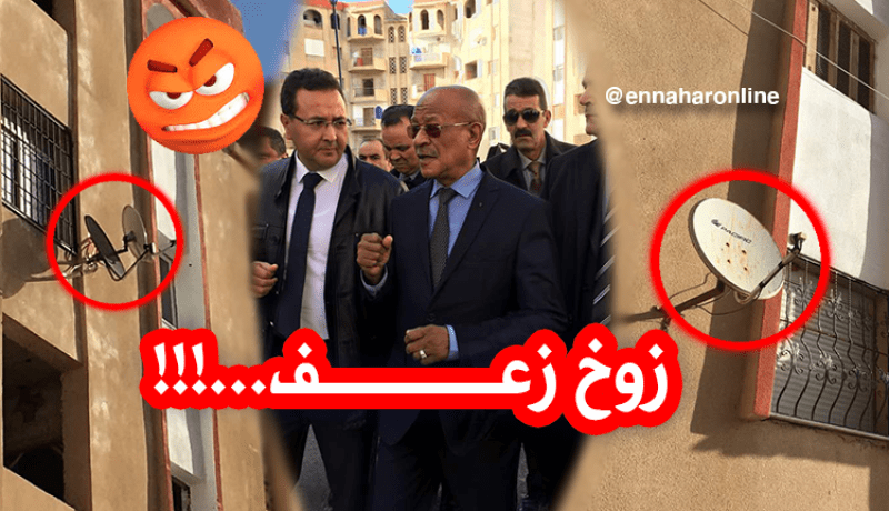 زوخ “زعفان” من البارابولات