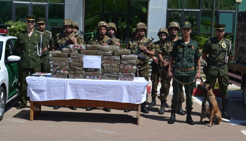 بالصور.. حجز 201 كيلوغرام من الكيف و توقيف 4 تجار في عين الدفلى