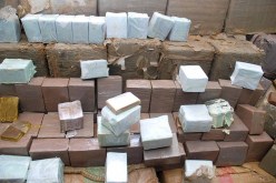 ضبط 38 طن من “الزطلة” خلال 8 أشهر